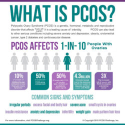PCOS: An Introduction
